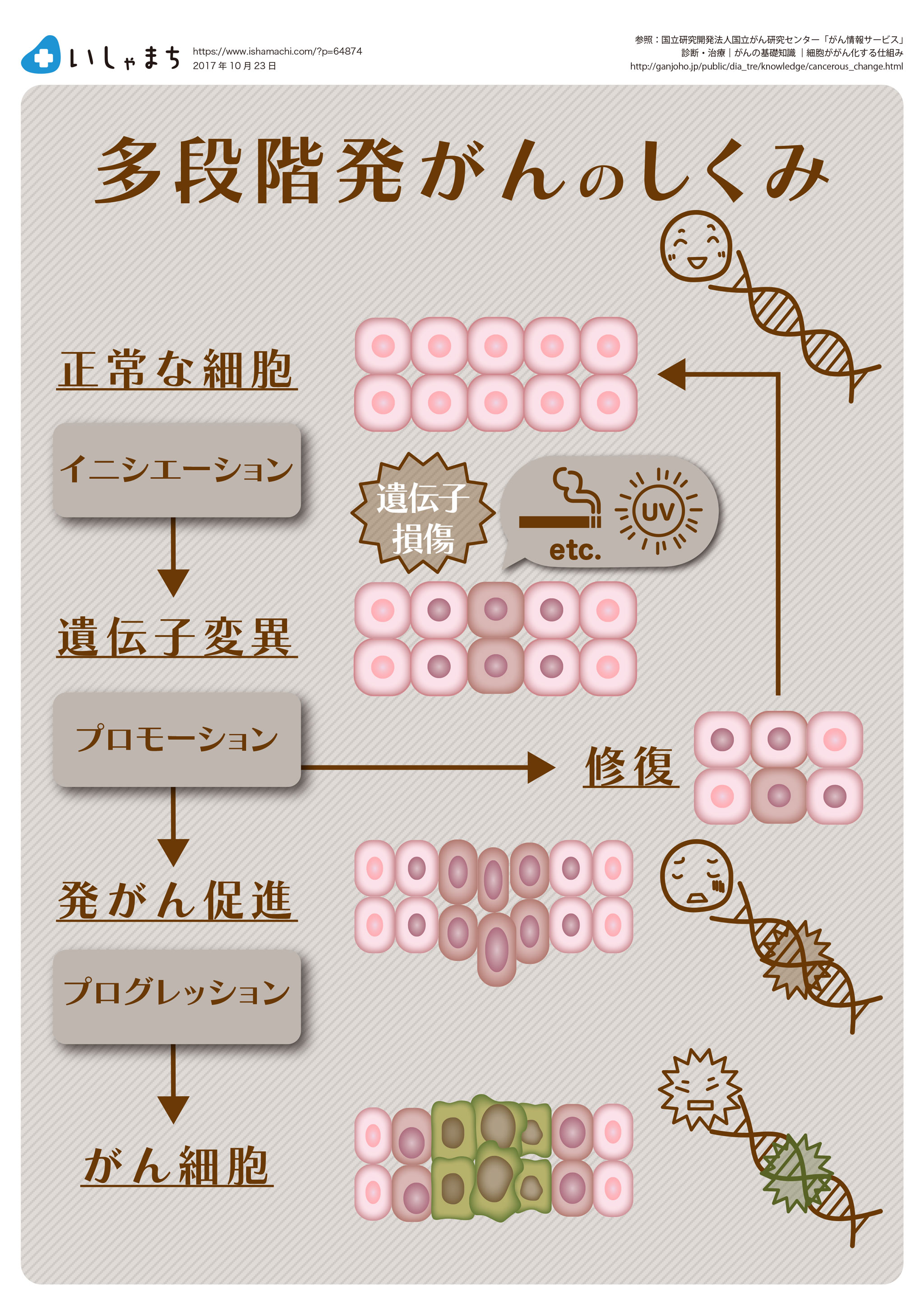 がんはどうして発生するの 体の中で何が起こっているのか いしゃまち